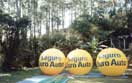 Blimps seguro Ouro Auto